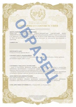 Образец Сертификат СТО 01.064.00220722.2-2020 Усть-Илимск Сертификат СТО 01.064.00220722.2-2020 